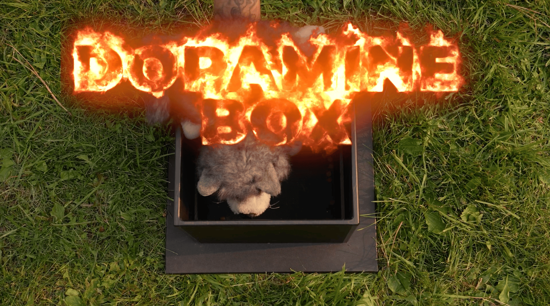 The Dopamine Box: Your Dog’s New Favorite Training Game